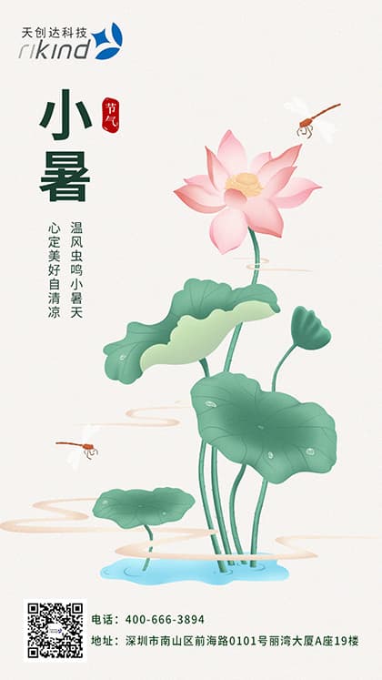 二十四节气｜鸟语竹阴密，雨声荷叶香
